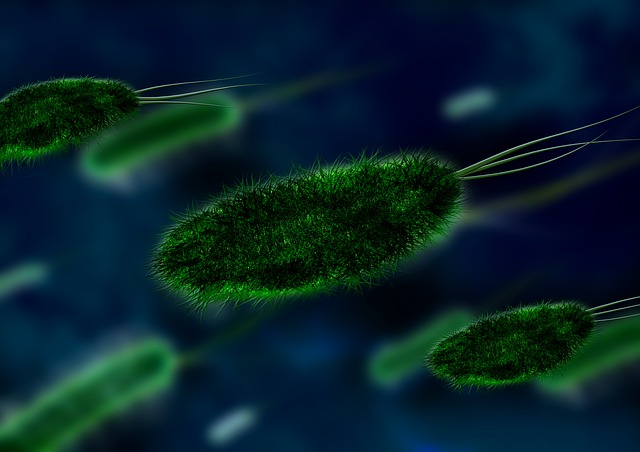 bacteria anthrax toxic pain