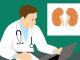 When Obesity Causes Depression 4 Depressive Symptoms Linked to Rapid Kidney Function Decline