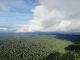 Climate Change May Cause Severe Drying of the Amazon Forest