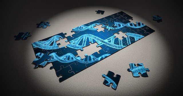 gene, DNA, heredity