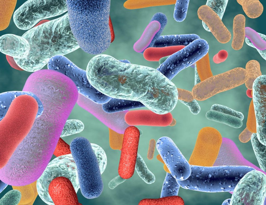 Microbes in Your Gut May Affect Personality – Could Be Associated With Mental and Physical Fatigue